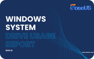 Windows System Drive Usage Report